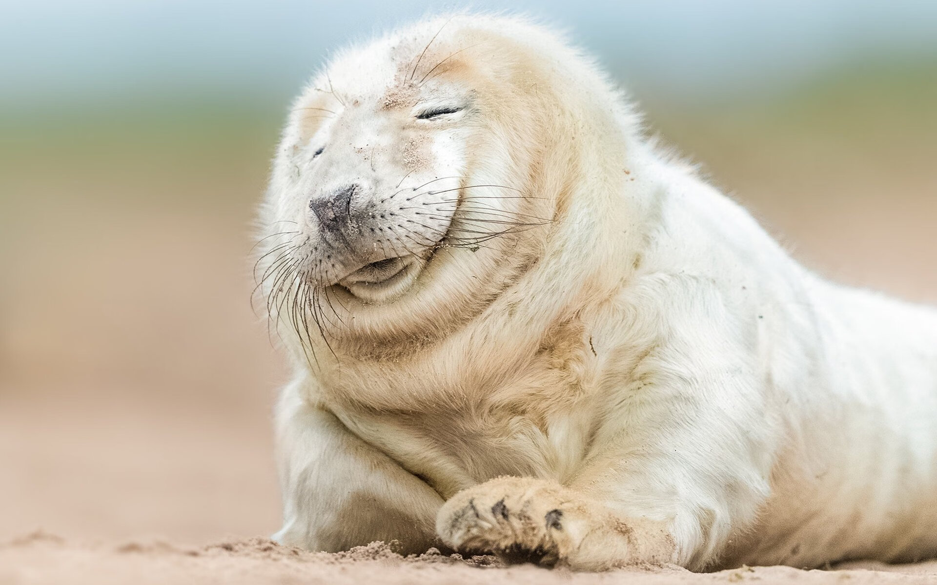 开云·体育全站登录地址-“法甲悬念升腾，豪门争霸进入最后阶段”，法甲新豪门