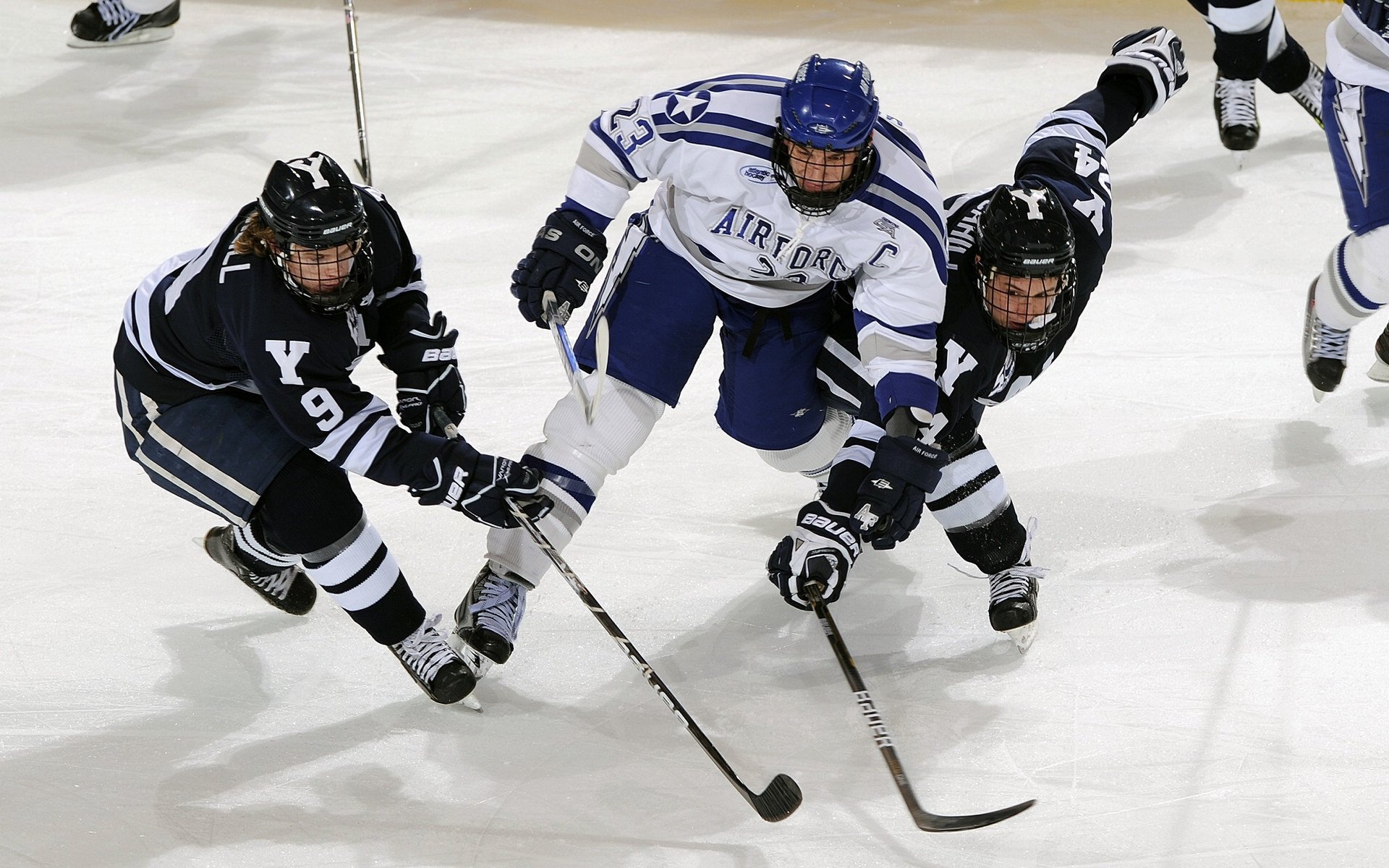开云体育官方-里奇·麦考的防守艺术，助力新西兰赢得世界杯，nba麦考利